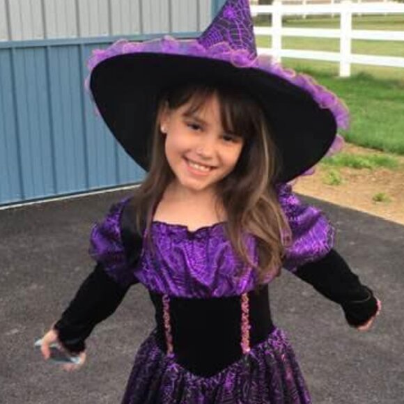 Chasing Fireflies Hallows Eve Spider Witch Purple Black Velvet Halloween Costume - Picture 16 of 16